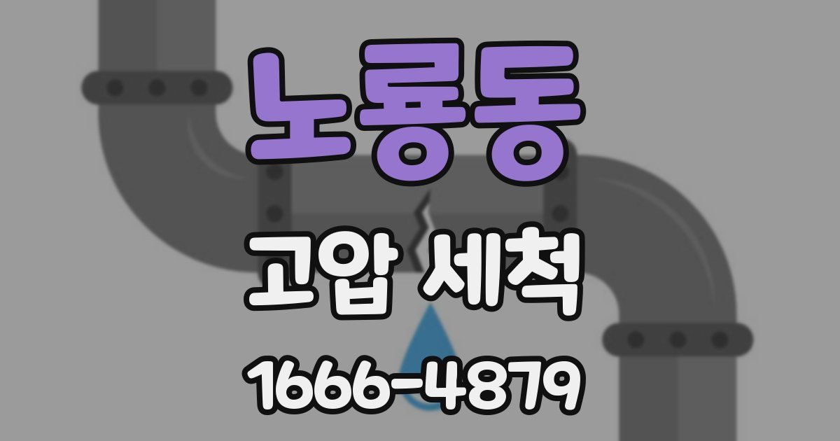 노룡동 고압 세척