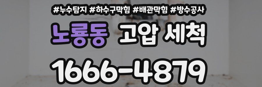 노룡동 고압 세척