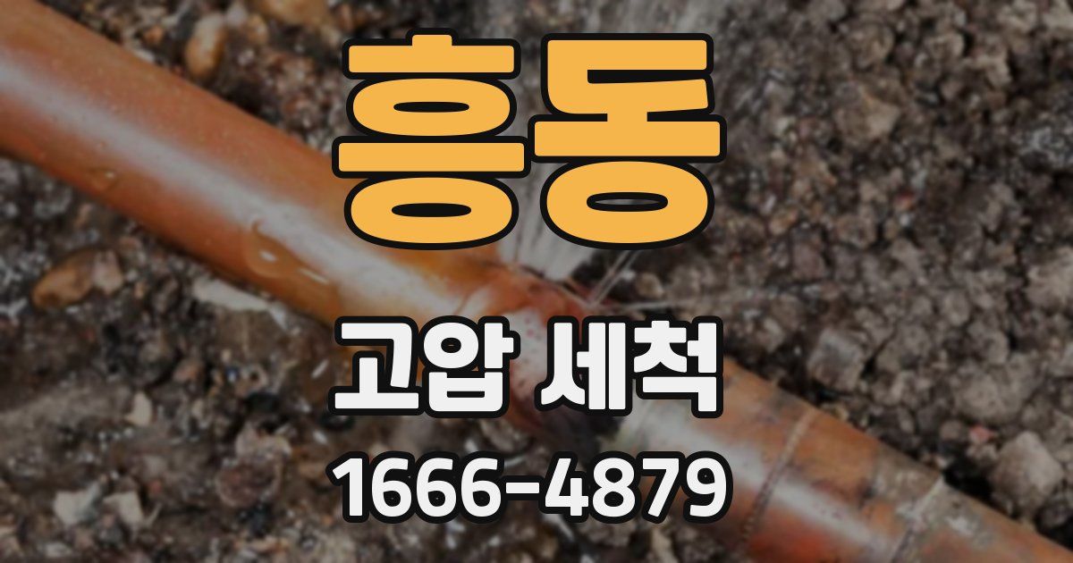 흥동 고압 세척