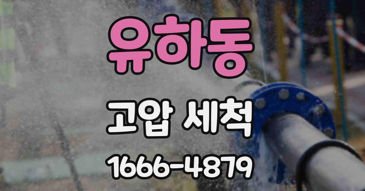 유하동 고압 세척