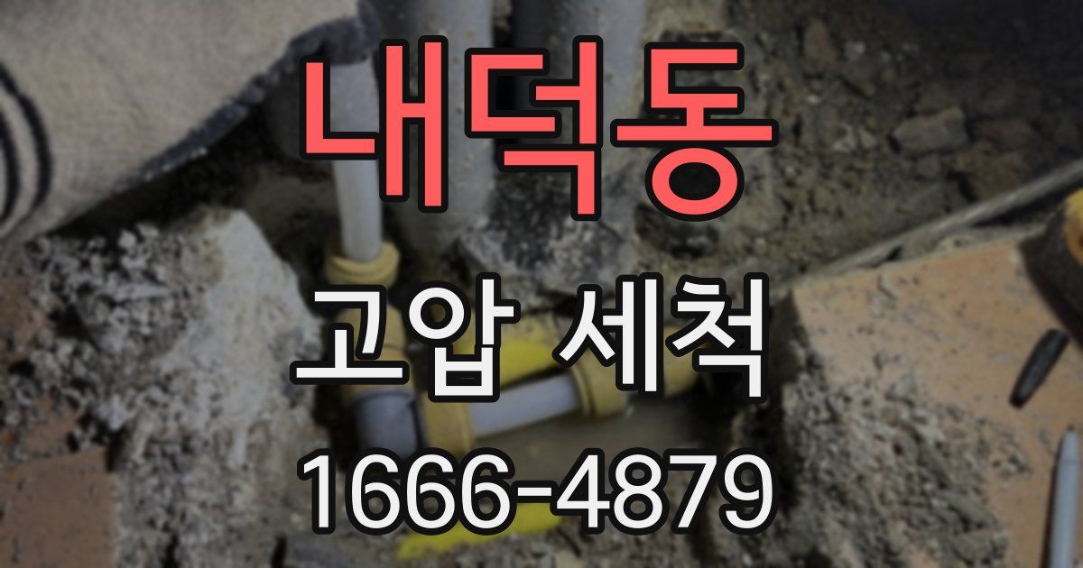 내덕동 고압 세척