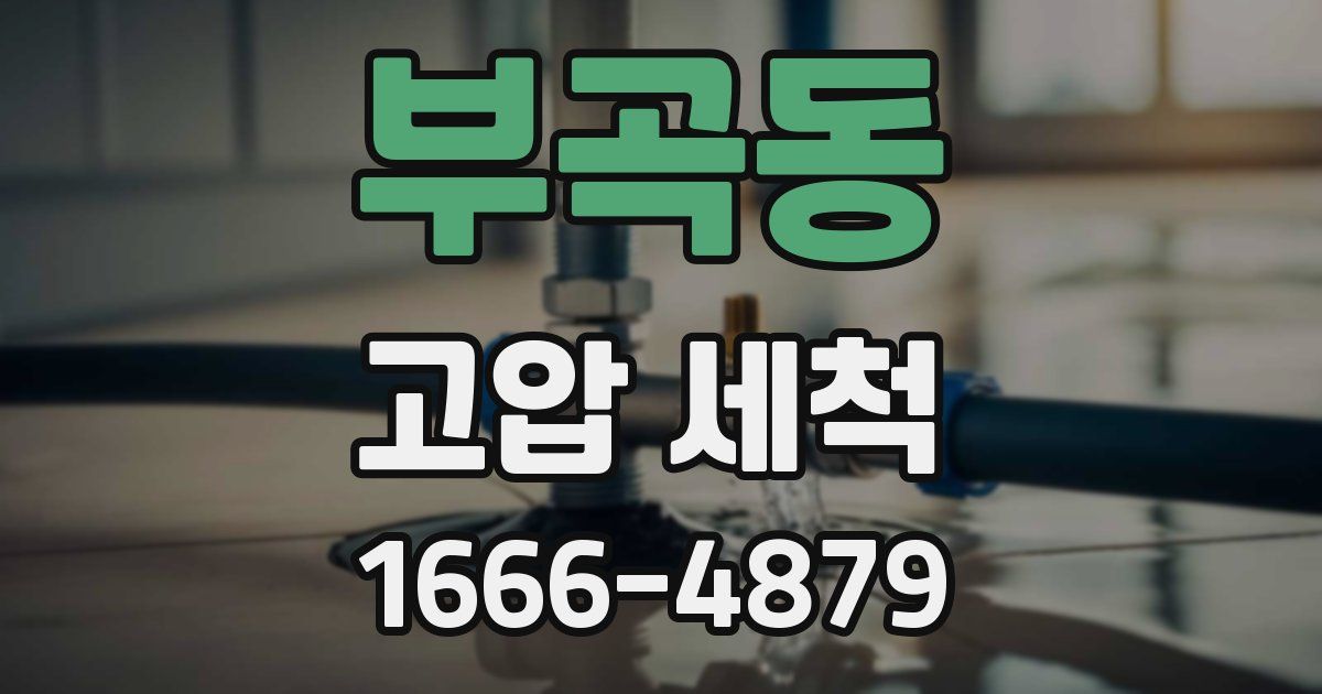 부곡동 고압 세척