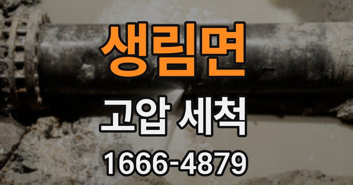 생림면 고압 세척
