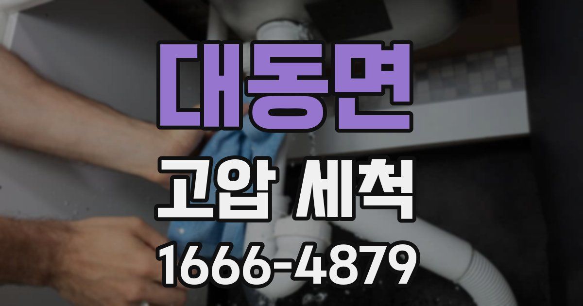 대동면 고압 세척
