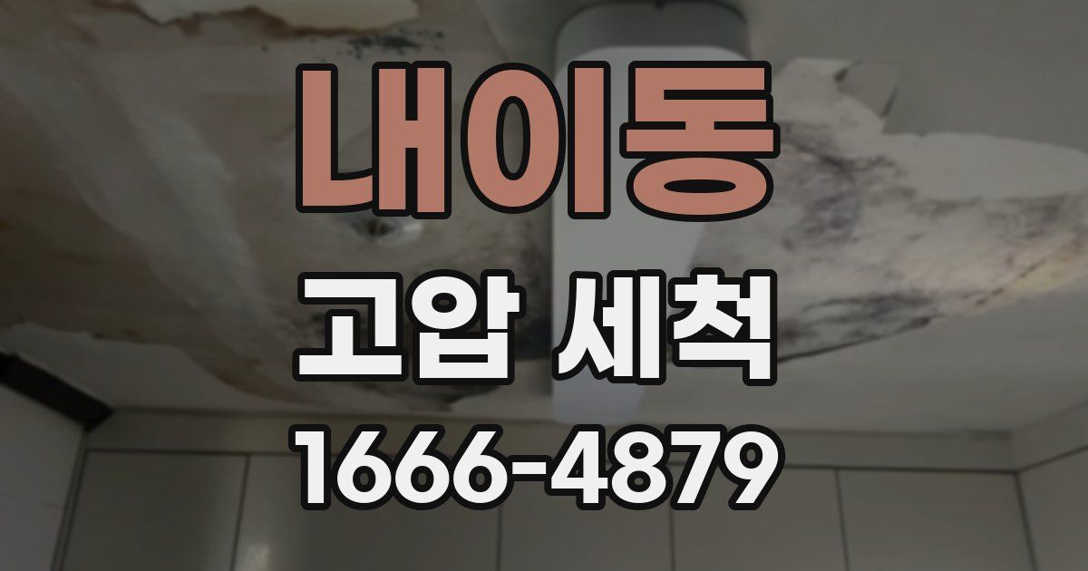 내이동 고압 세척