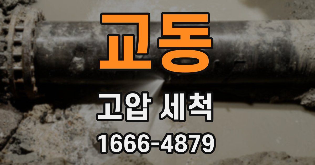 교동 고압 세척