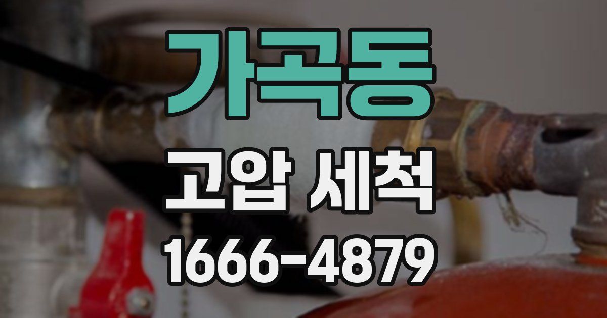가곡동 고압 세척