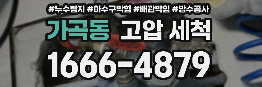가곡동 고압 세척