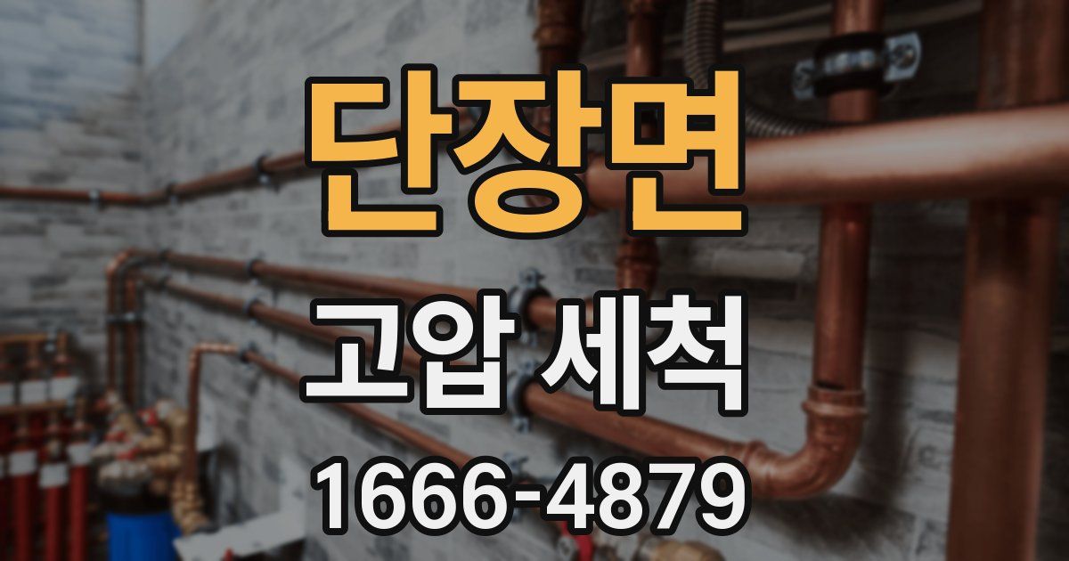 단장면 고압 세척