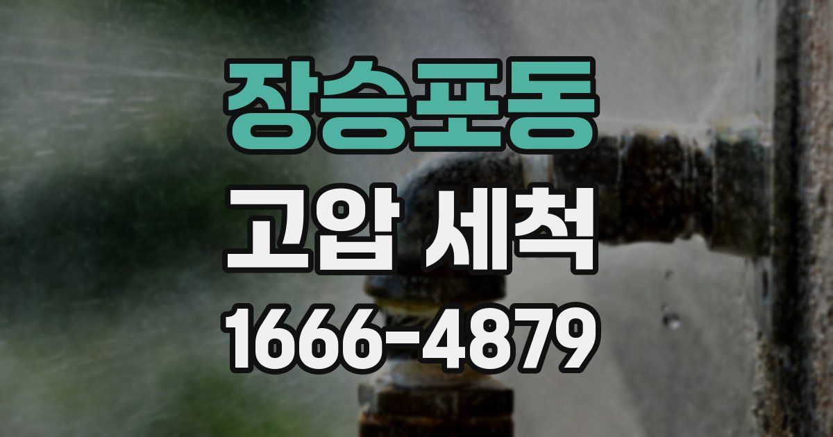 장승포동 고압 세척