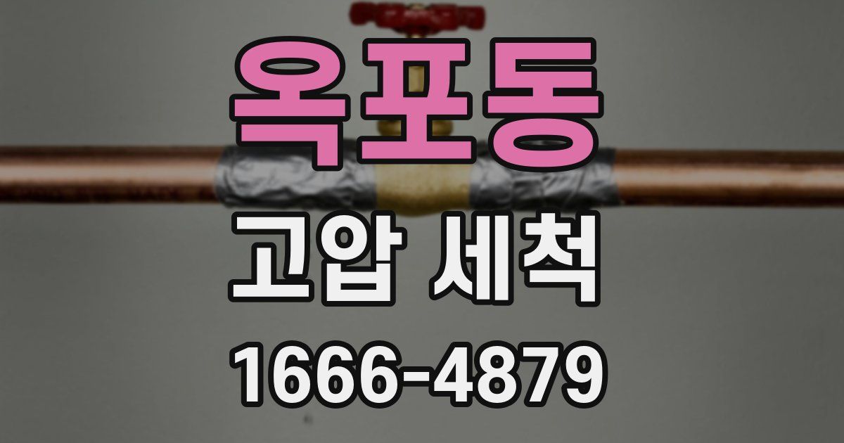 옥포동 고압 세척