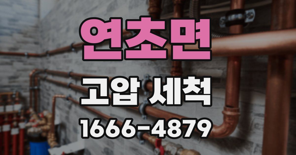 연초면 고압 세척