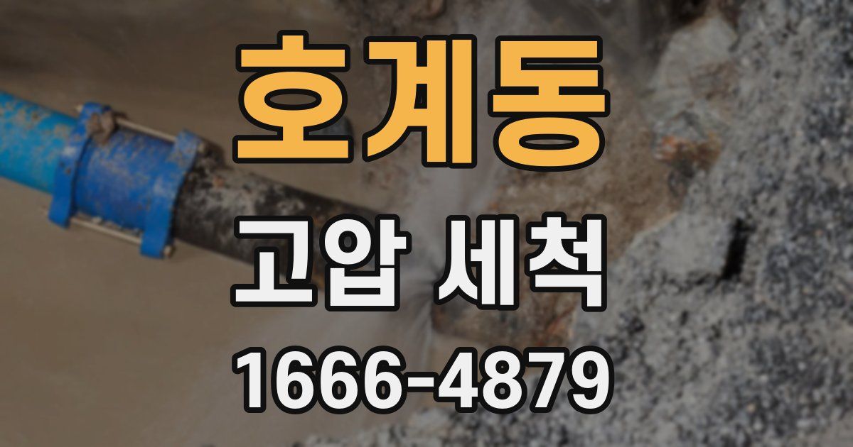 호계동 고압 세척