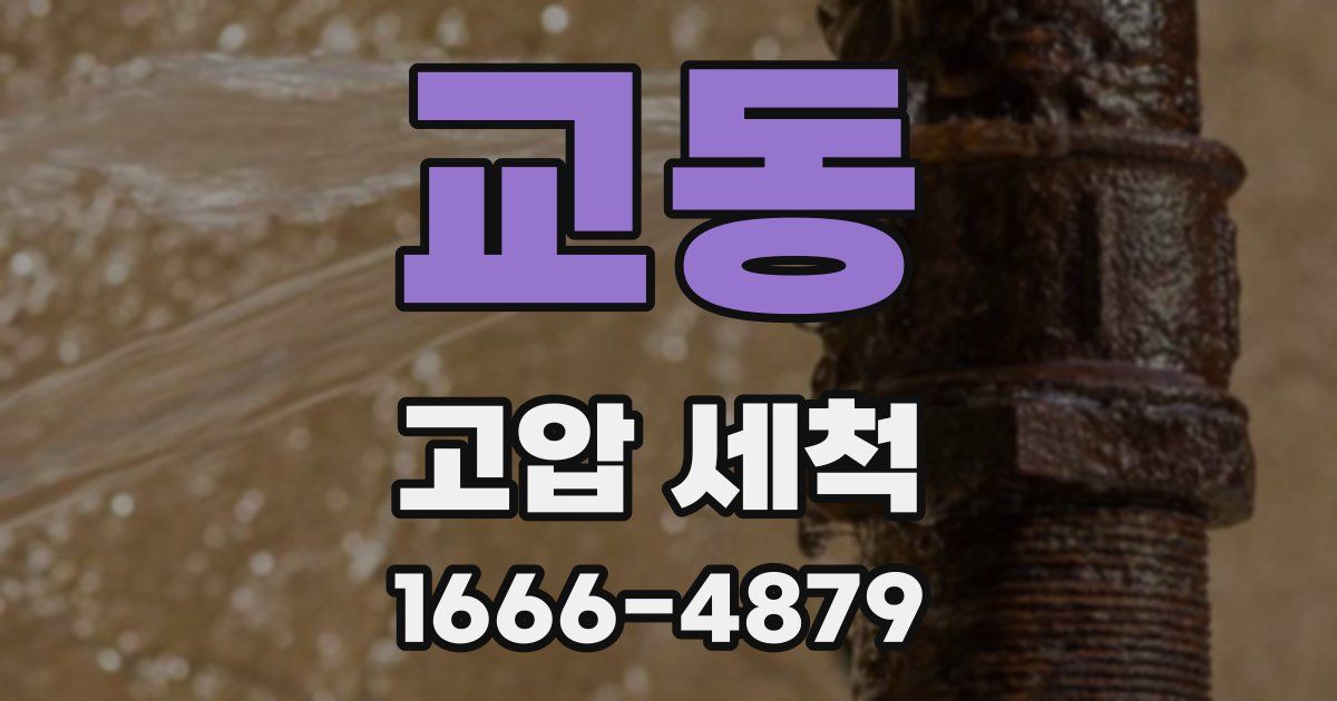 교동 고압 세척