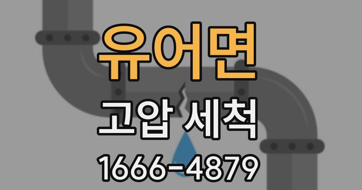 유어면 고압 세척