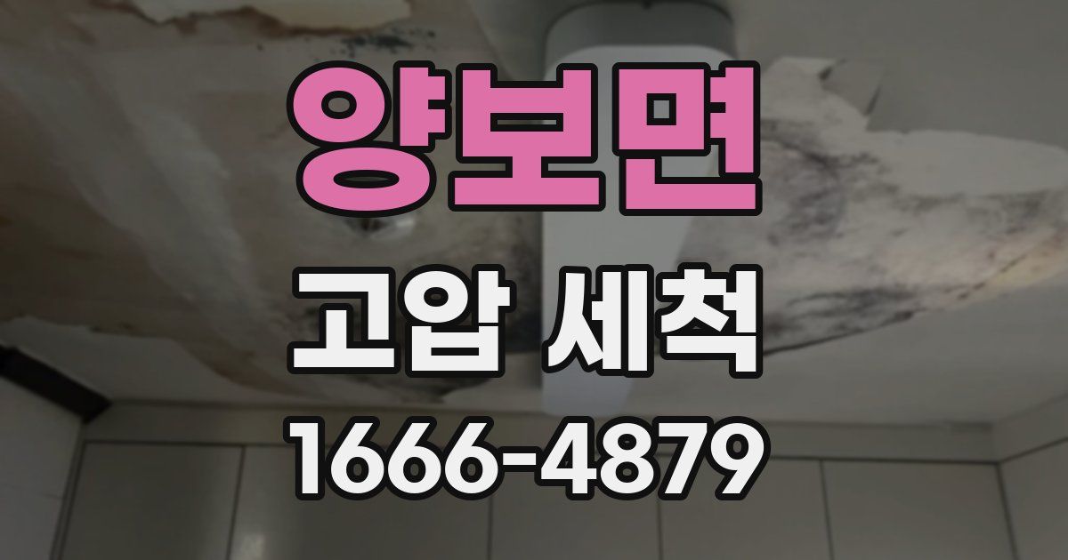 양보면 고압 세척