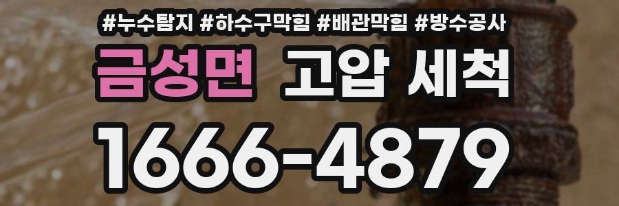 금성면 고압 세척