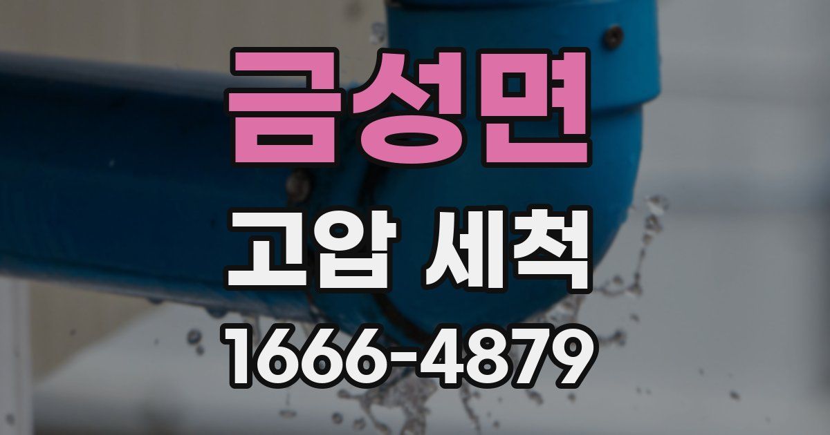 금성면 고압 세척