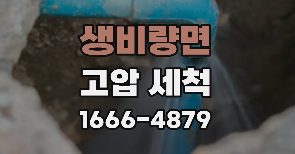 생비량면 고압 세척