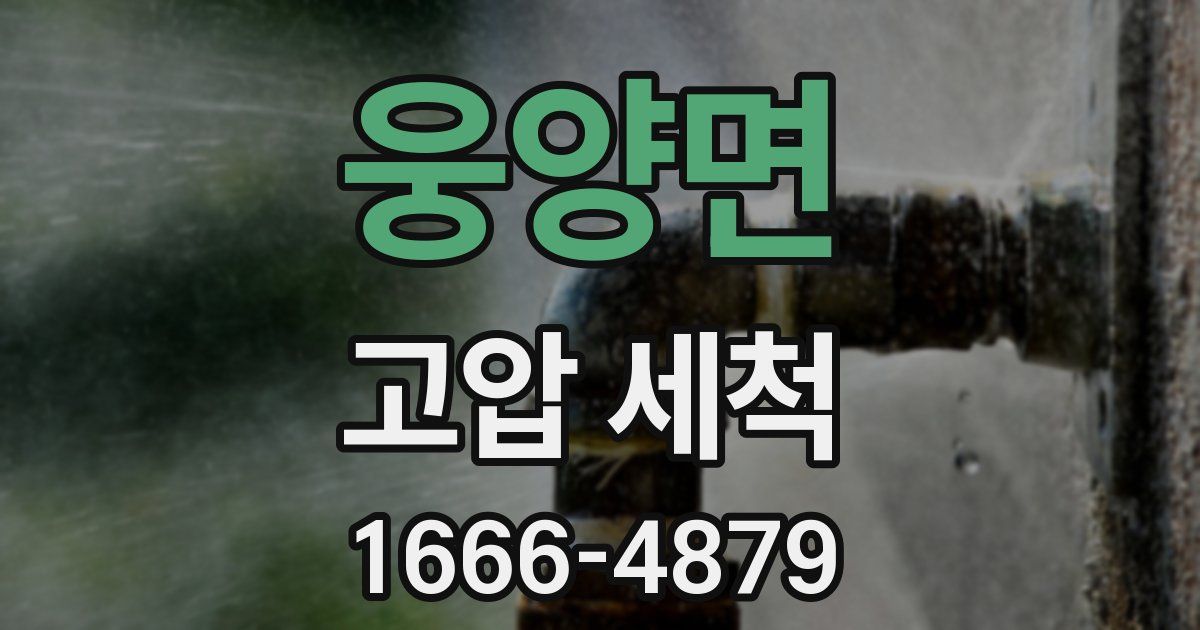 웅양면 고압 세척
