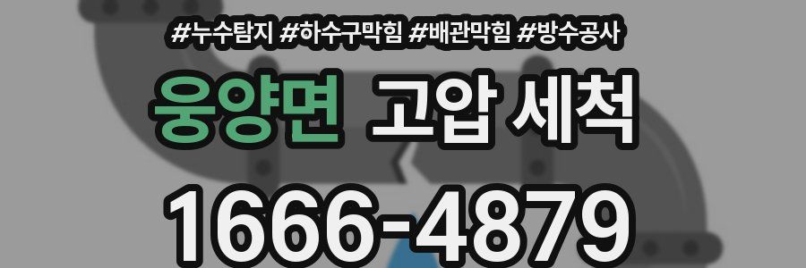 웅양면 고압 세척
