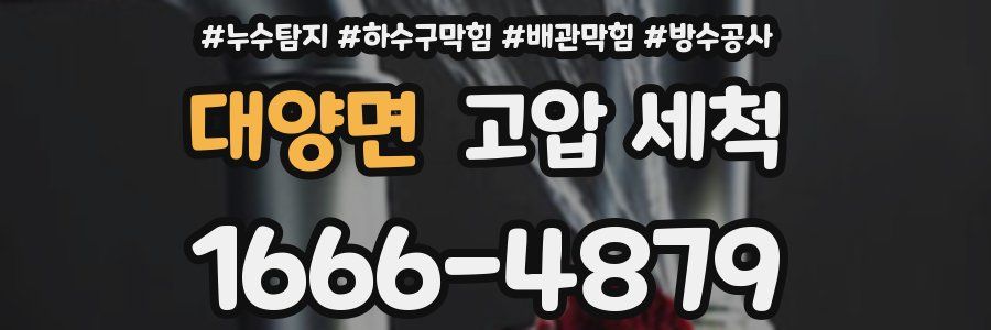 대양면 고압 세척