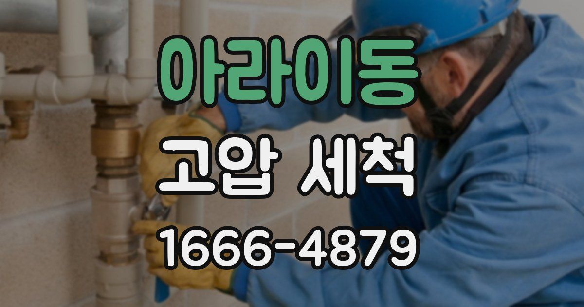 아라이동 고압 세척