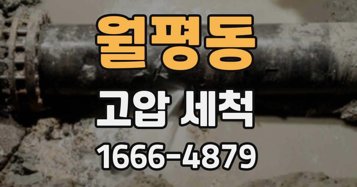 월평동 고압 세척