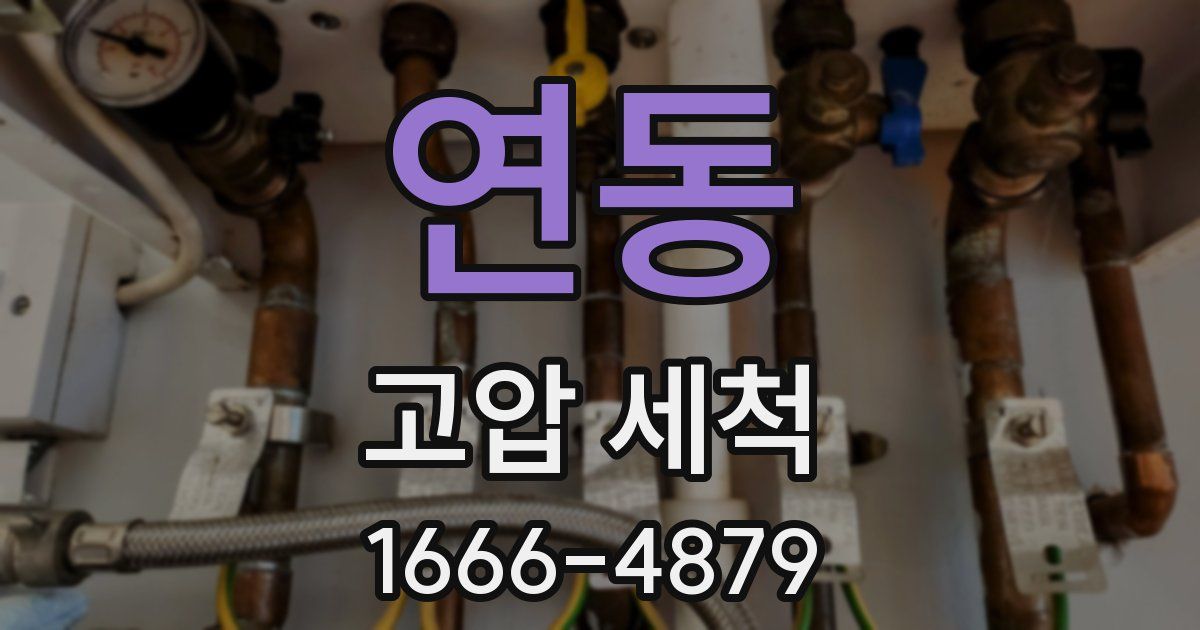 연동 고압 세척