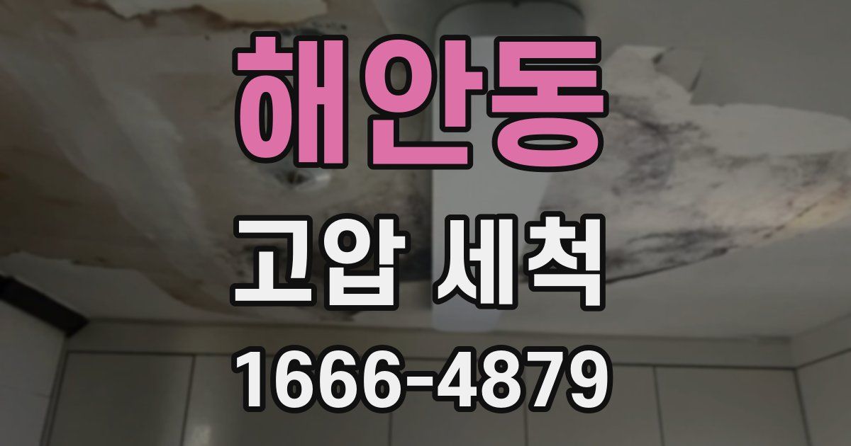 해안동 고압 세척