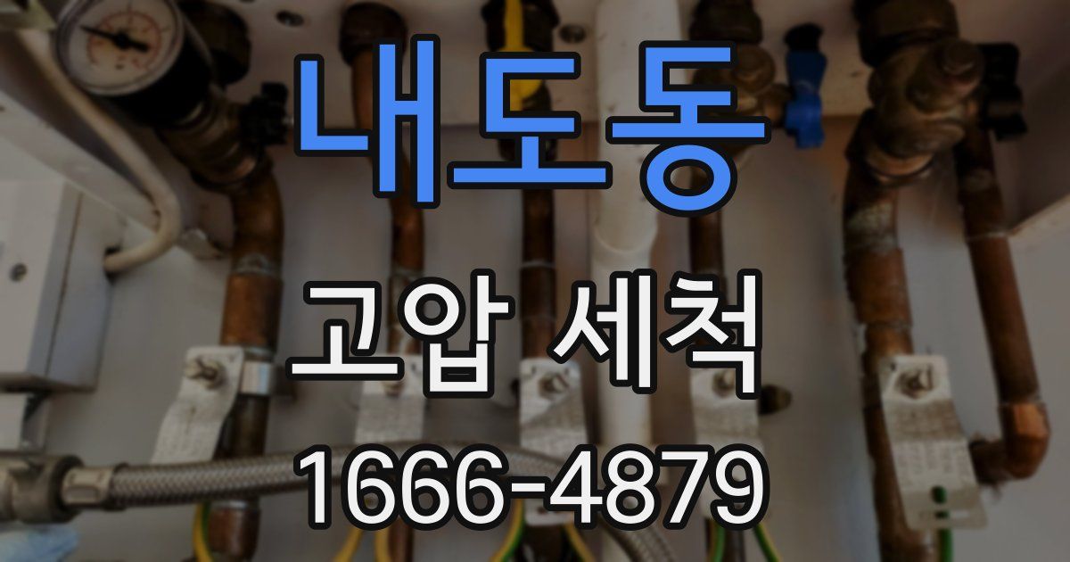 내도동 고압 세척