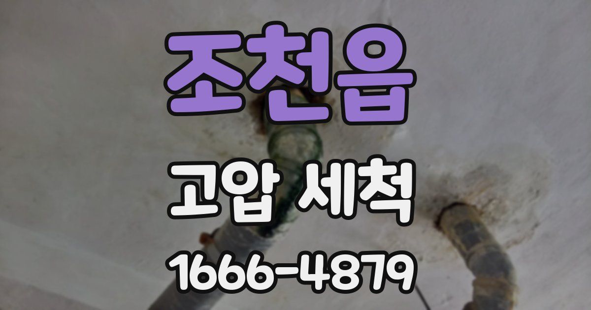 조천읍 고압 세척