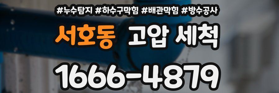 서호동 고압 세척