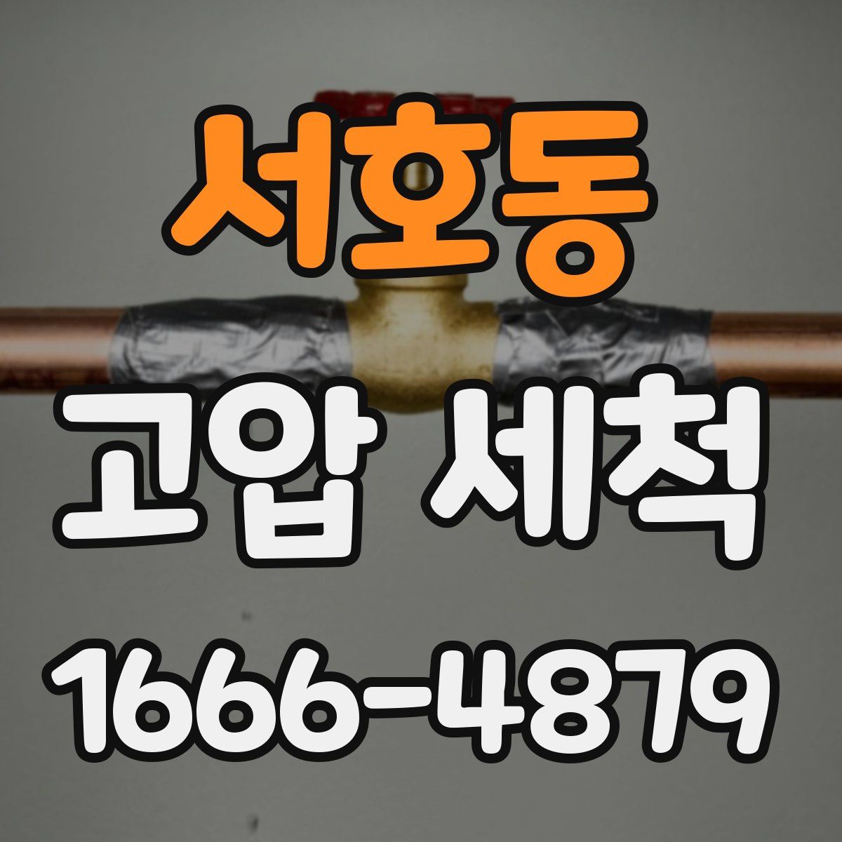 서호동 고압 세척