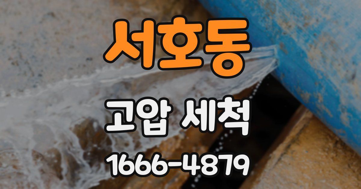서호동 고압 세척