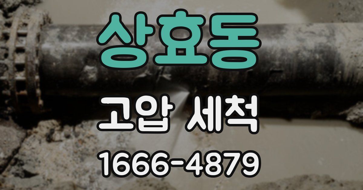 상효동 고압 세척