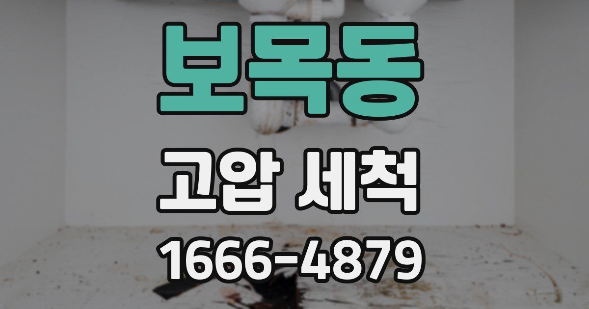 보목동 고압 세척