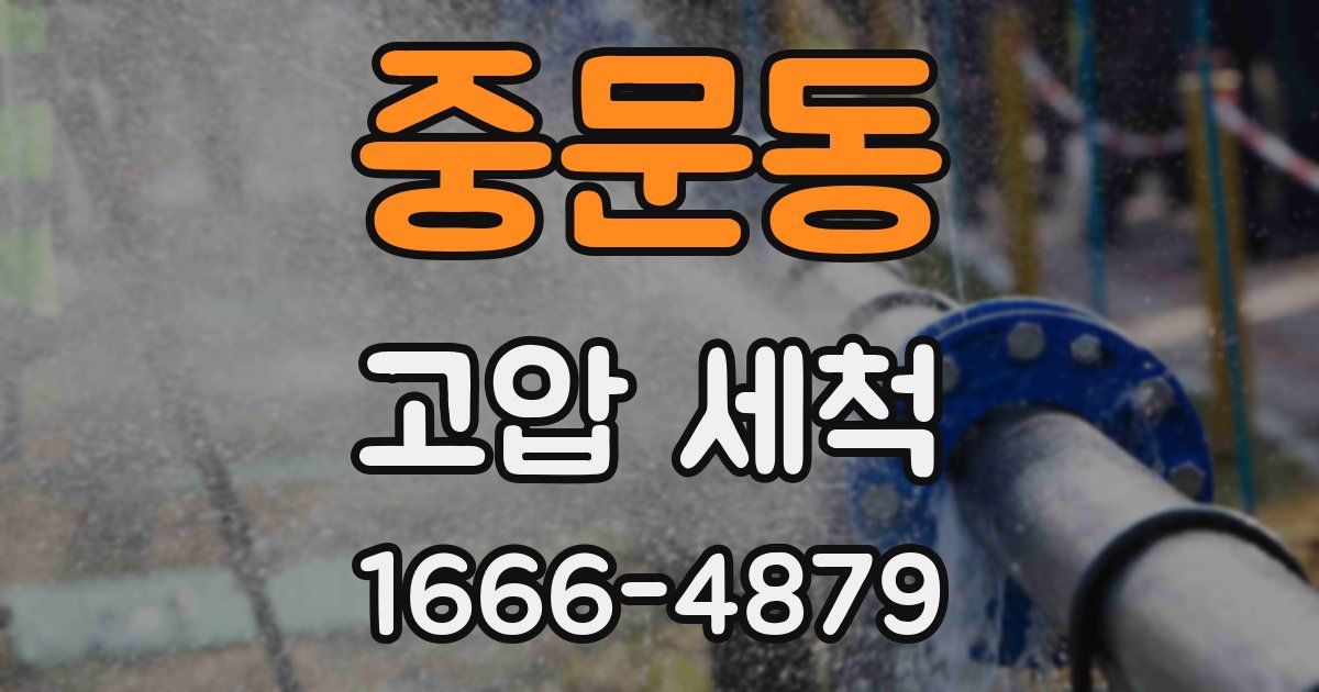 중문동 고압 세척