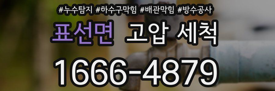 표선면 고압 세척