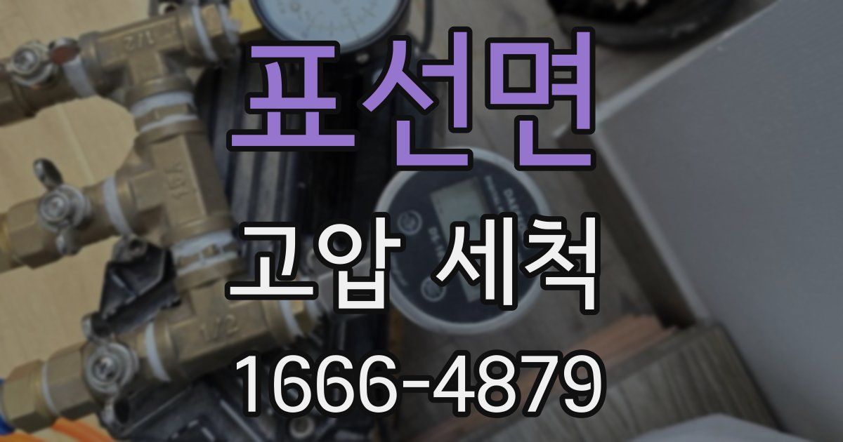표선면 고압 세척