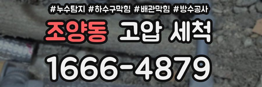조양동 고압 세척