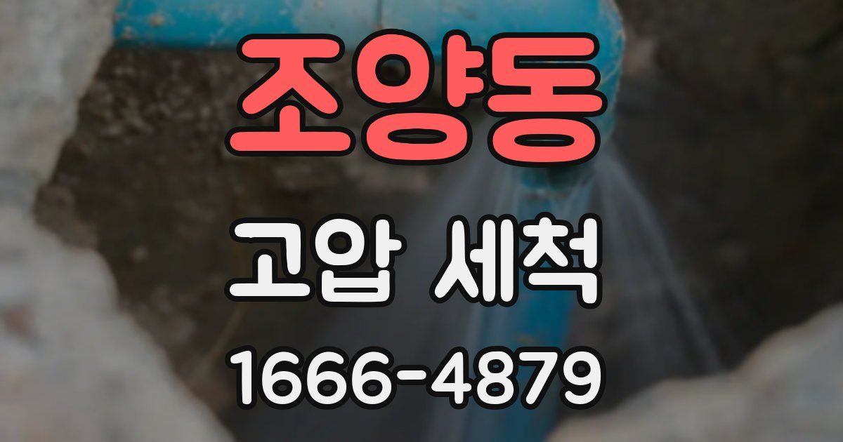 조양동 고압 세척