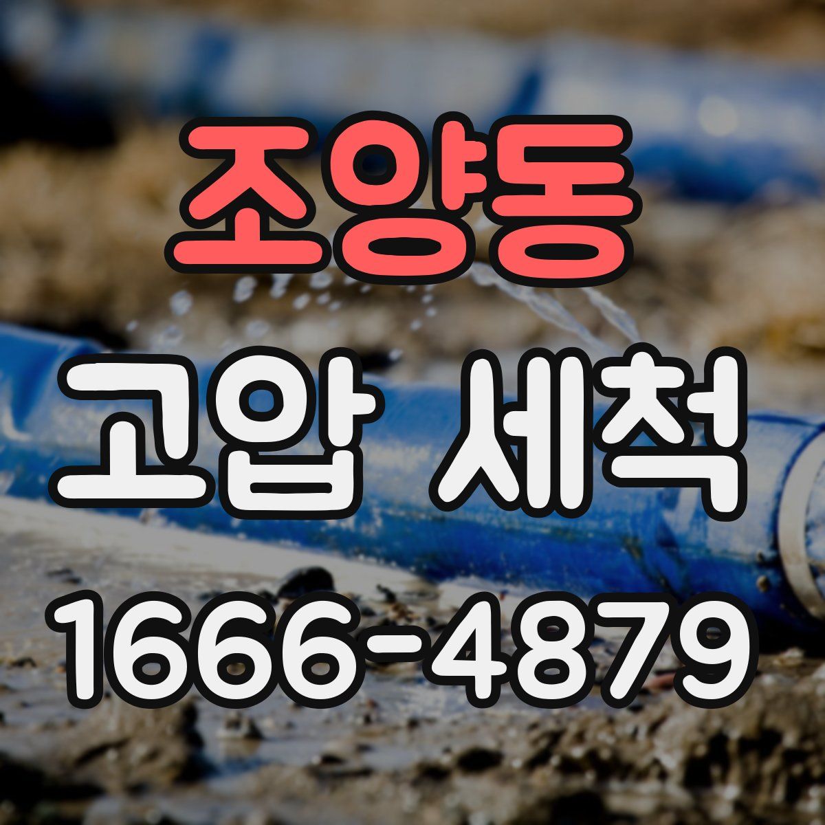 조양동 고압 세척
