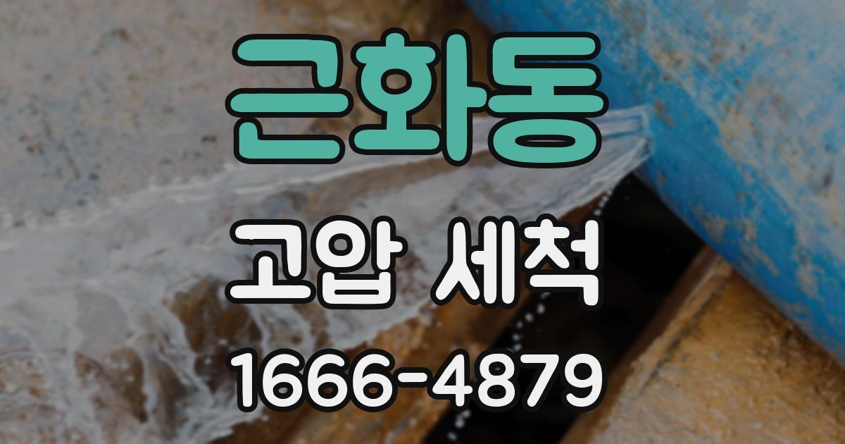 근화동 고압 세척