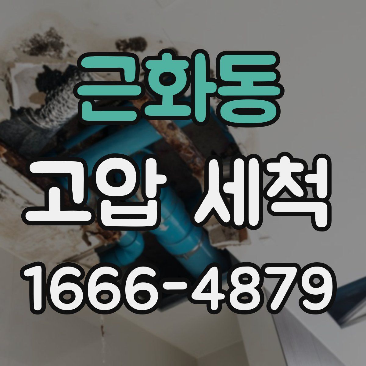 근화동 고압 세척
