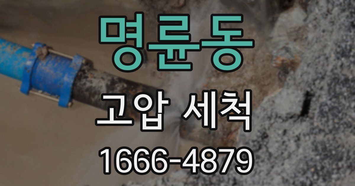 명륜동 고압 세척
