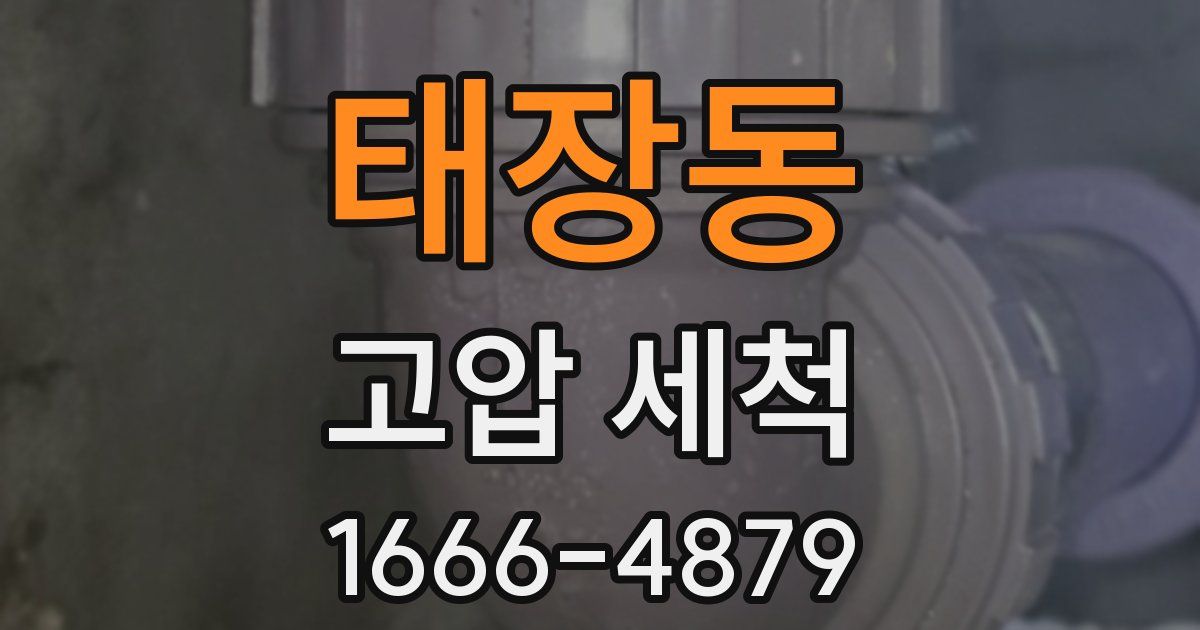 태장동 고압 세척