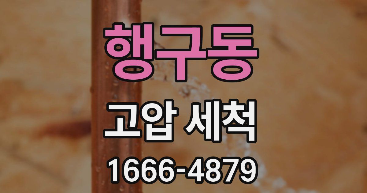 행구동 고압 세척