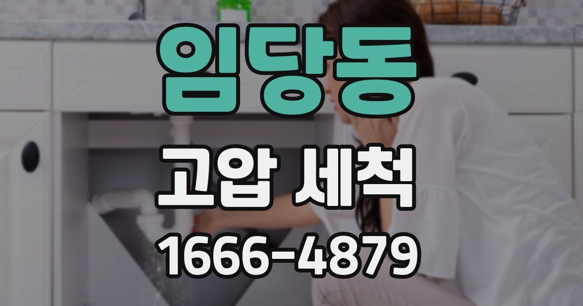 임당동 고압 세척