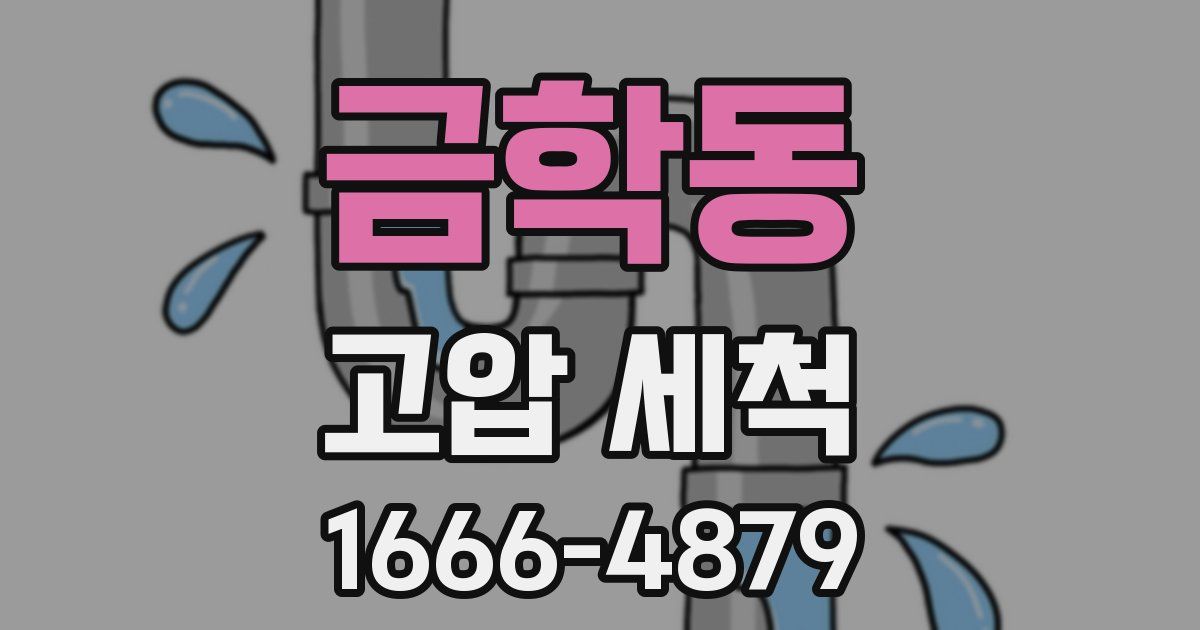 금학동 고압 세척